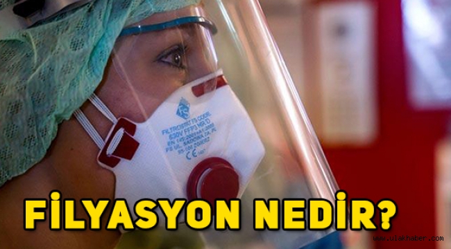 Filyasyon nedir, ne demek, ne anlama geliyor?