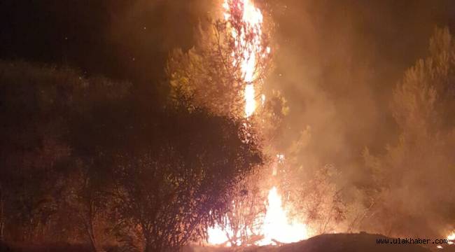 Ordu'da orman yangını mı çıktı, Ordu'da yangın mı var?