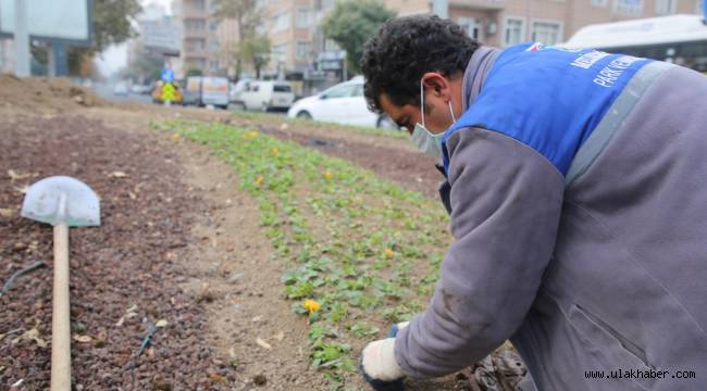 Melikgazi'nin kavşakları kışın da çiçek açacak