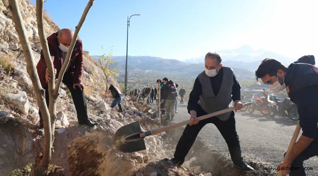 Talas Belediyesi'nden Ali Dağı'na 500 tane meyve ağacı