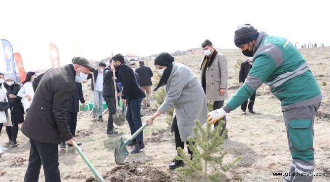 Başkan Çolakbayrakdar, Gara ve Bitlis şehitlerinin anısına ağaç dikti