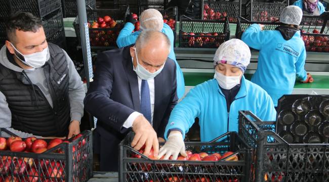 Başkan Öztürk: Elma üreticilerinin sorunlarını çözmek istiyoruz