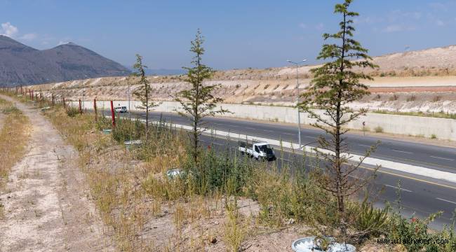 Büyükşehir daha az su tüketimi ile daha yeşil alanlar oluşturuyor