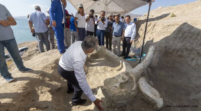 Kayseri'nin adını dünyaya duyuran fosillerin sergileneceği müze belli oldu