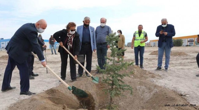 Kocasinan'da hedef yeni yılda da 100 bin ağaç