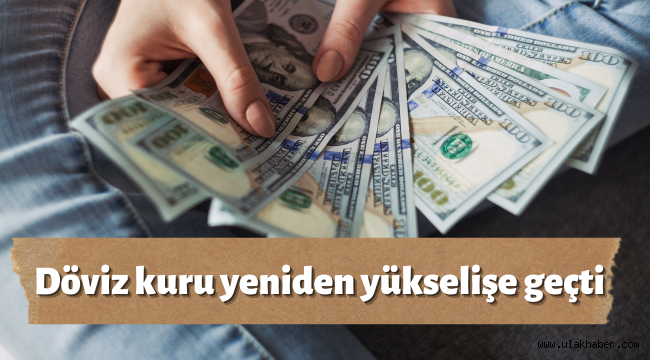 Dolar/TL yeniden yükselişe geçti