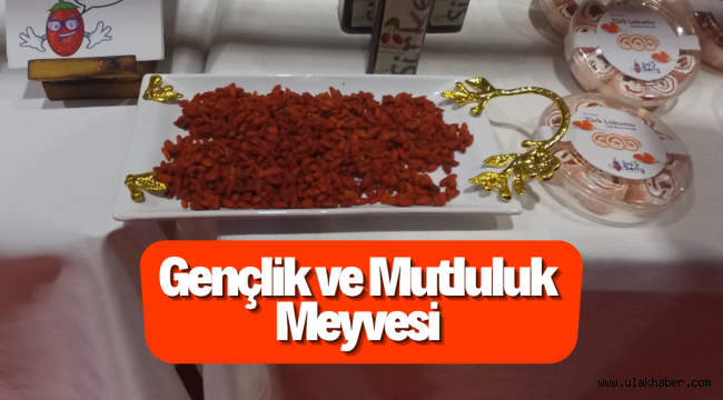 Kayseri'de üretilen bu meyve, çeşitli ülkelere ihraç ediliyor