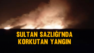 Sultan Sazlığı'nda yangın çıktı!