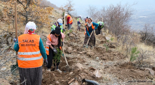 Talas Belediyesi'nden ağaçlandırma seferberliği