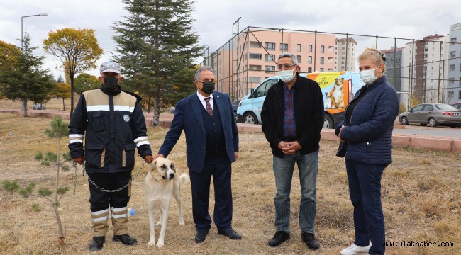 Tedavisi tamamlanan 'Bulut' doğal ortamına bırakıldı