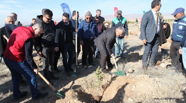 Kayseri Ulaşım A.Ş.'den 3 bin fidan