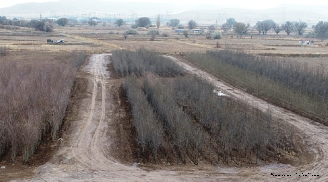 Türkiye'nin en büyük üretim ve lojistik üssü fidanlığı Kocasinan'da