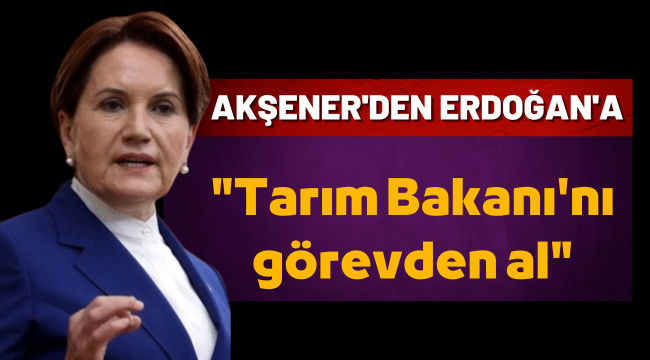 Akşener'den Cumhurbaşkanı Erdoğan'a 'Tarım Bakanı'nı görevden al' çağrısı