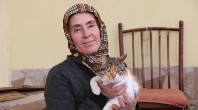 Yahyalılı Fatma Güldoğan, sokak kedilerini aç bırakmıyor