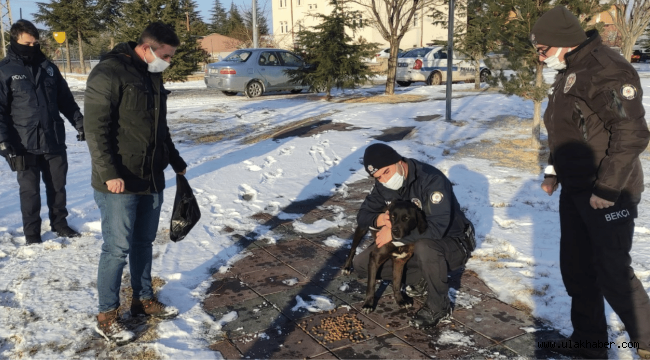 Yeşilhisar Emniyeti'nden sokak hayvanlarına mama desteği