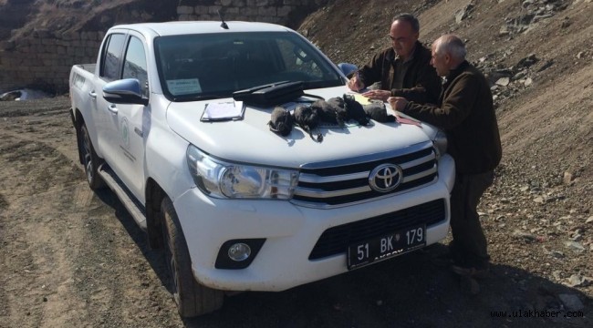 Kayseri'de kaçak avcılık yapan 2 kişiye ceza yazıldı