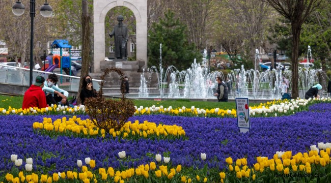 Doğa dostu Büyükşehir, Kayseri'yi 1 milyon lale ve sümbül ile donattı