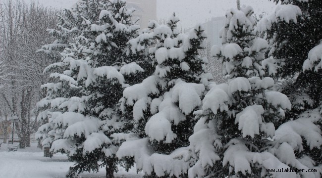 Kayseri'de bu hafta kar yağışı devam edecek