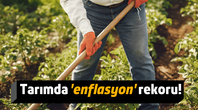 Tarımsal girdi fiyat endeksi rekor seviyeye çıktı