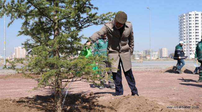 Başkan Çolakbayrakdar, mesaiye ağaç dikerek başladı