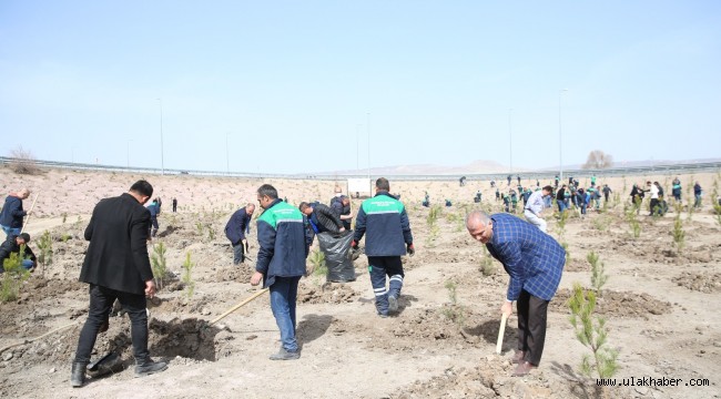 Kayseri'de 3 bin fidan toprakla buluştu