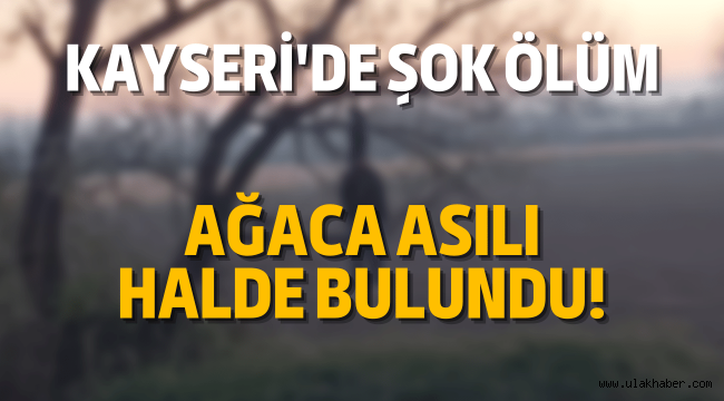 Kayseri'de bir vatandaş, ağaca asılı halde bulundu