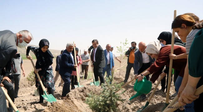 Kayseri'de fidan dikim etkinliği