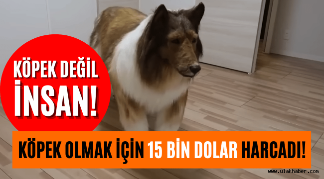 Japonya'daki 'köpek adam' görenleri şaşkına çevirdi!