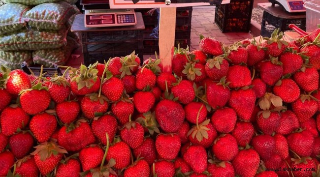 Kayseri'deki semt pazarlarında bu haftanın fiyatları nasıl?