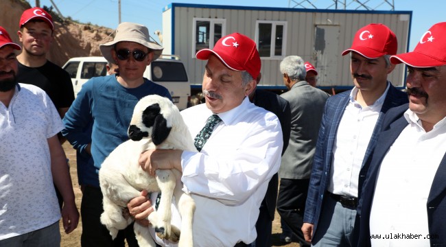 Talas'ta minikleri heyecanlandıran kuzu katımı