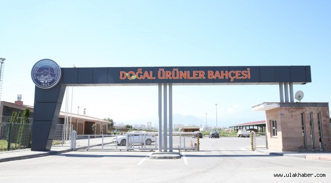 Büyükşehir'in "Doğal Ürünler Bahçesi Pazarı" açılıyor