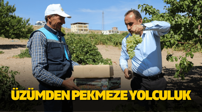 Başkan İlmek: İncesu'da üzümün pekmez yolculuğu başladı