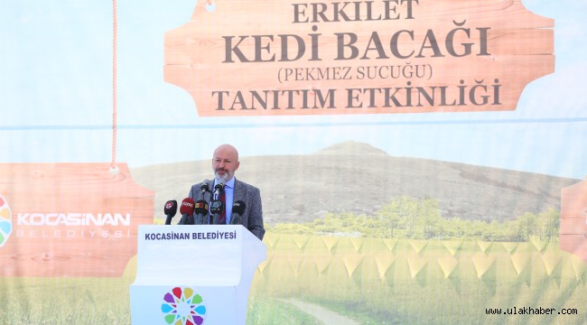 Başkan Çolakbayrakdar'dan Erkilet Kedi Bacağı Etkinliğine davet